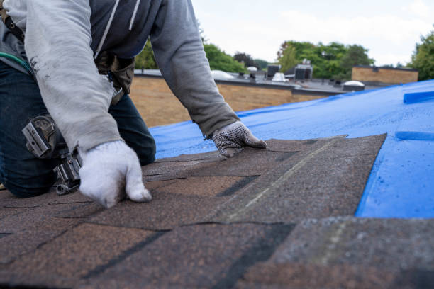 Best Storm Damage Roof Repair  in Gold Beach, OR