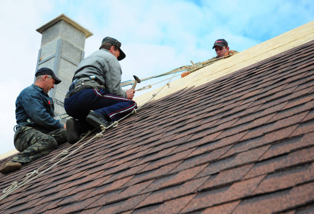 Quick and Trustworthy Emergency Roof Repair Services in Gold Beach, OR